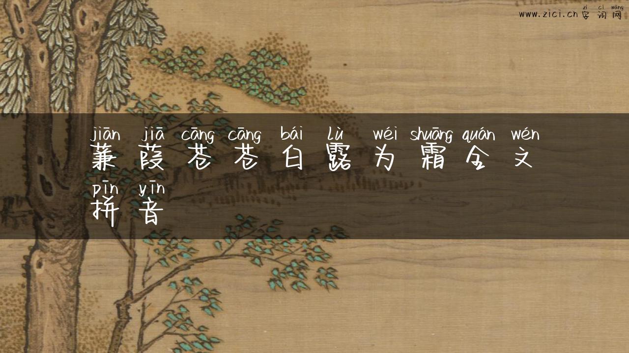 蒹葭苍苍白露为霜全文拼音