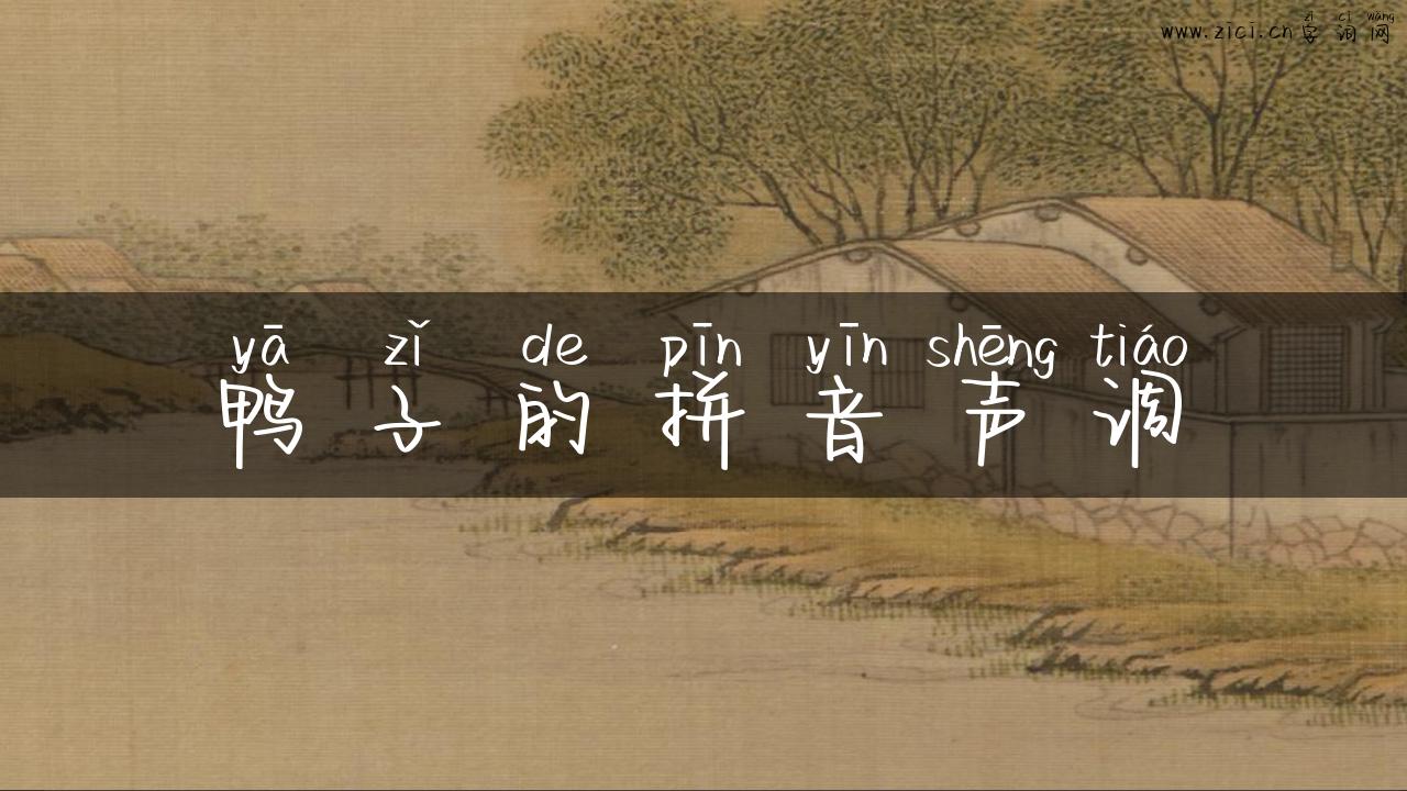 鸭子的拼音声调