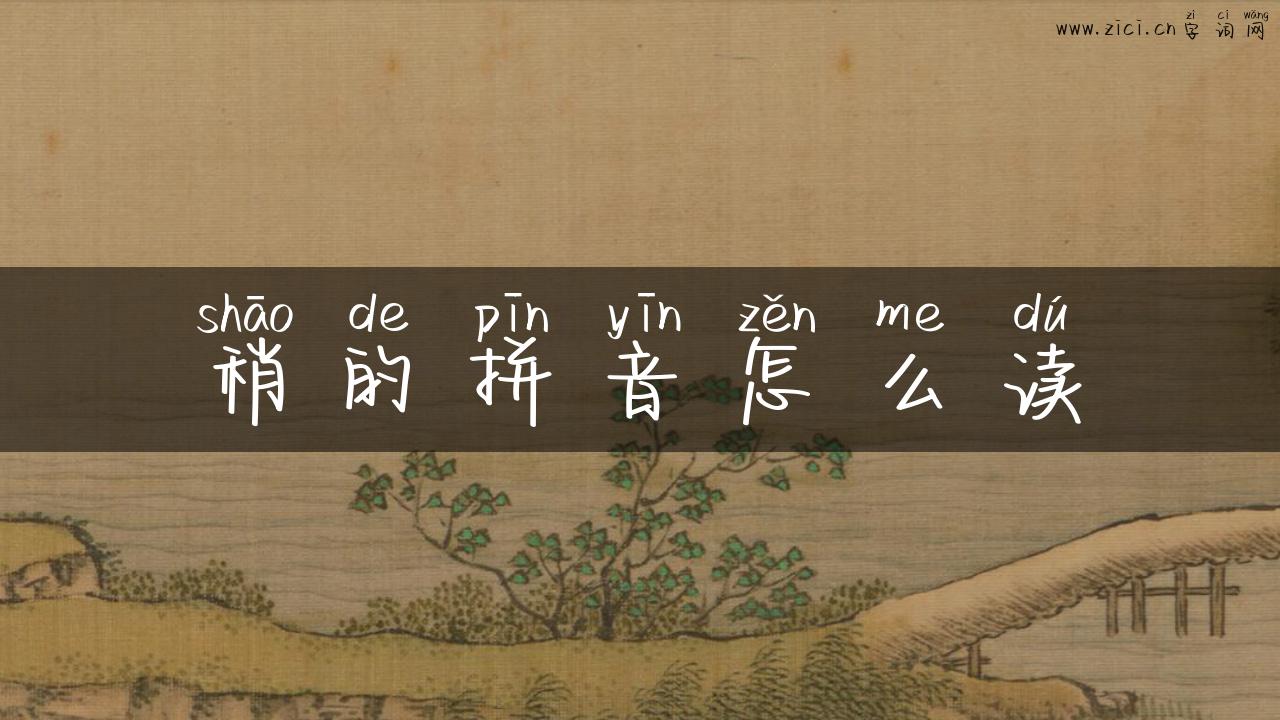 稍的拼音怎么读