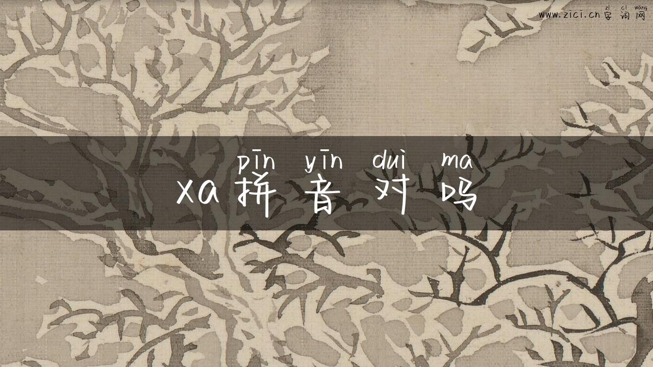 xa拼音对吗