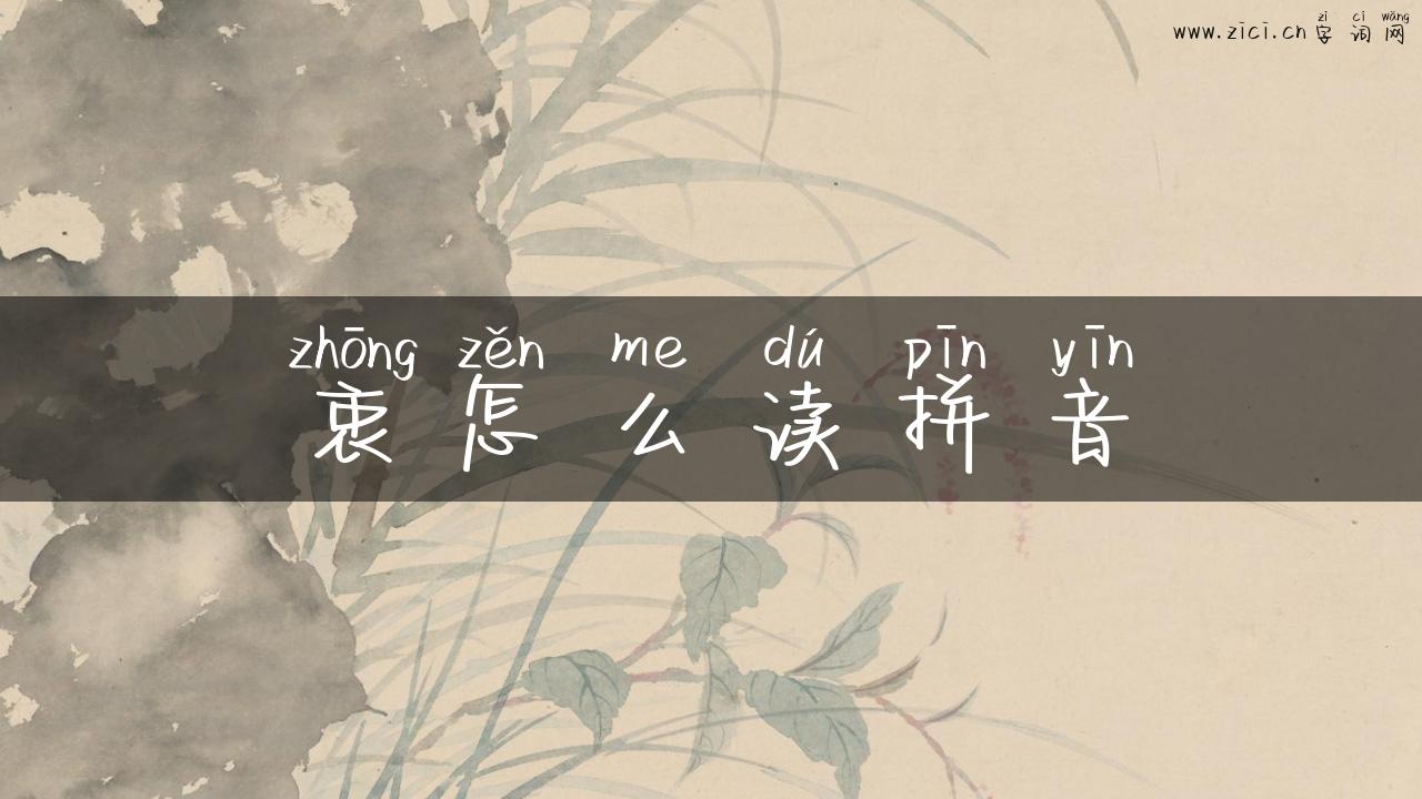 衷怎么读拼音