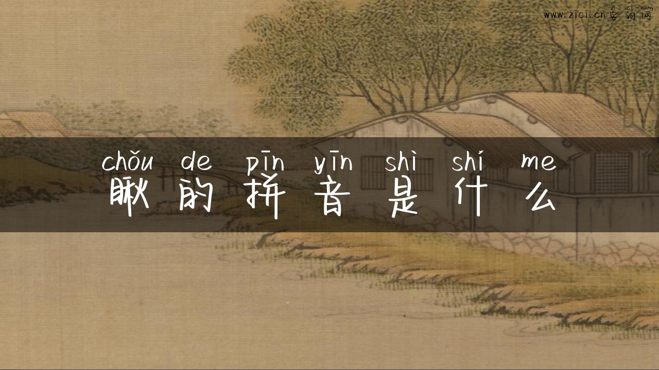瞅的拼音是什么