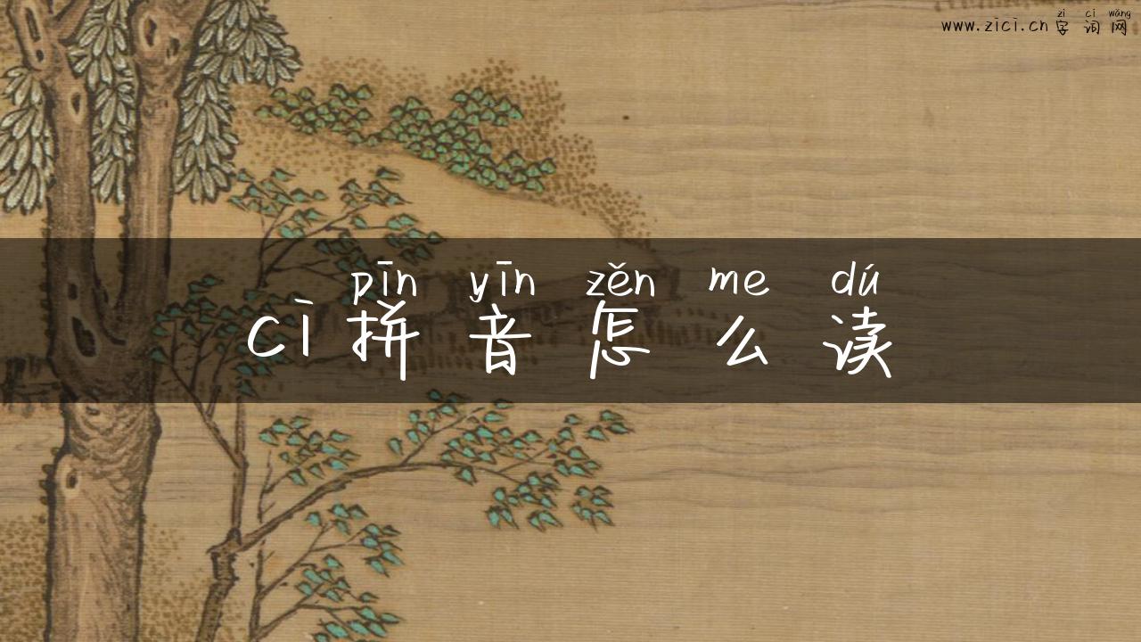 ci拼音怎么读