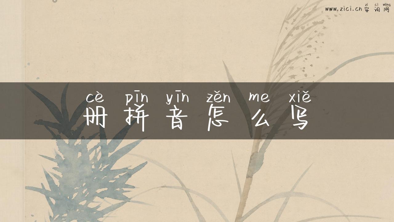 册拼音怎么写
