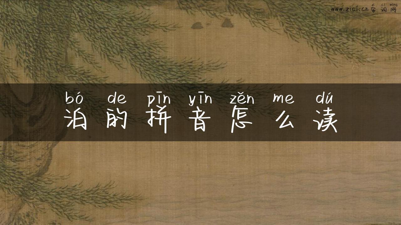 泊的拼音怎么读