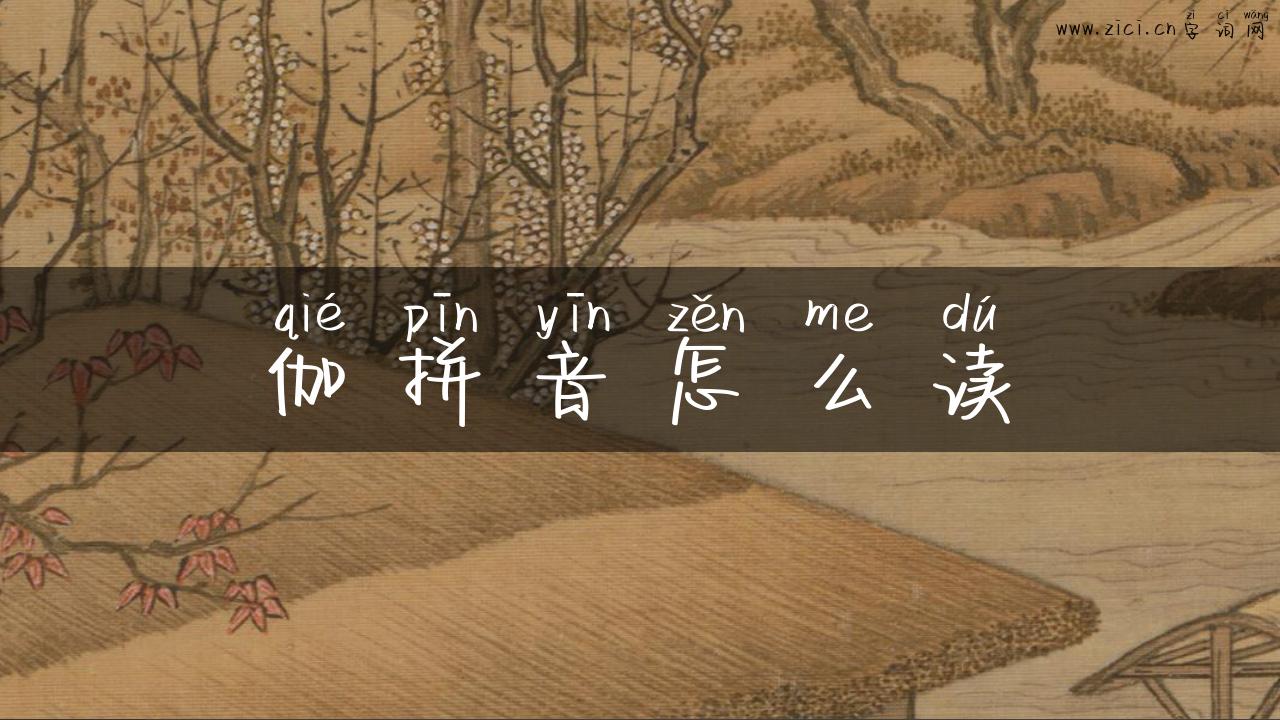 伽拼音怎么读