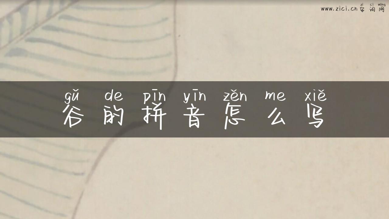 谷的拼音怎么写