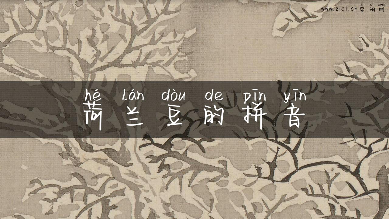 荷兰豆的拼音