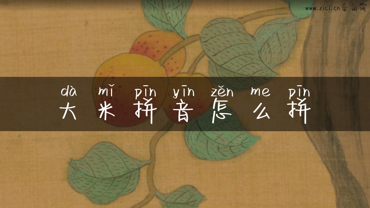 大米拼音怎么拼