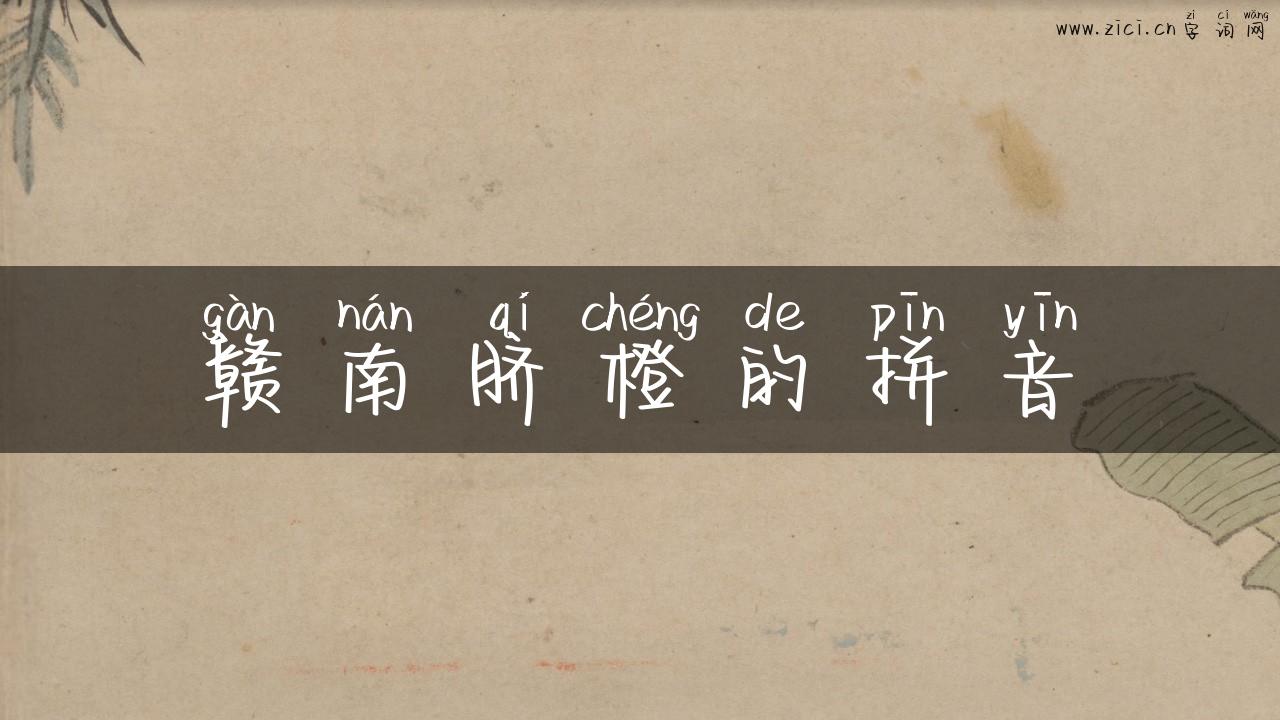 赣南脐橙的拼音