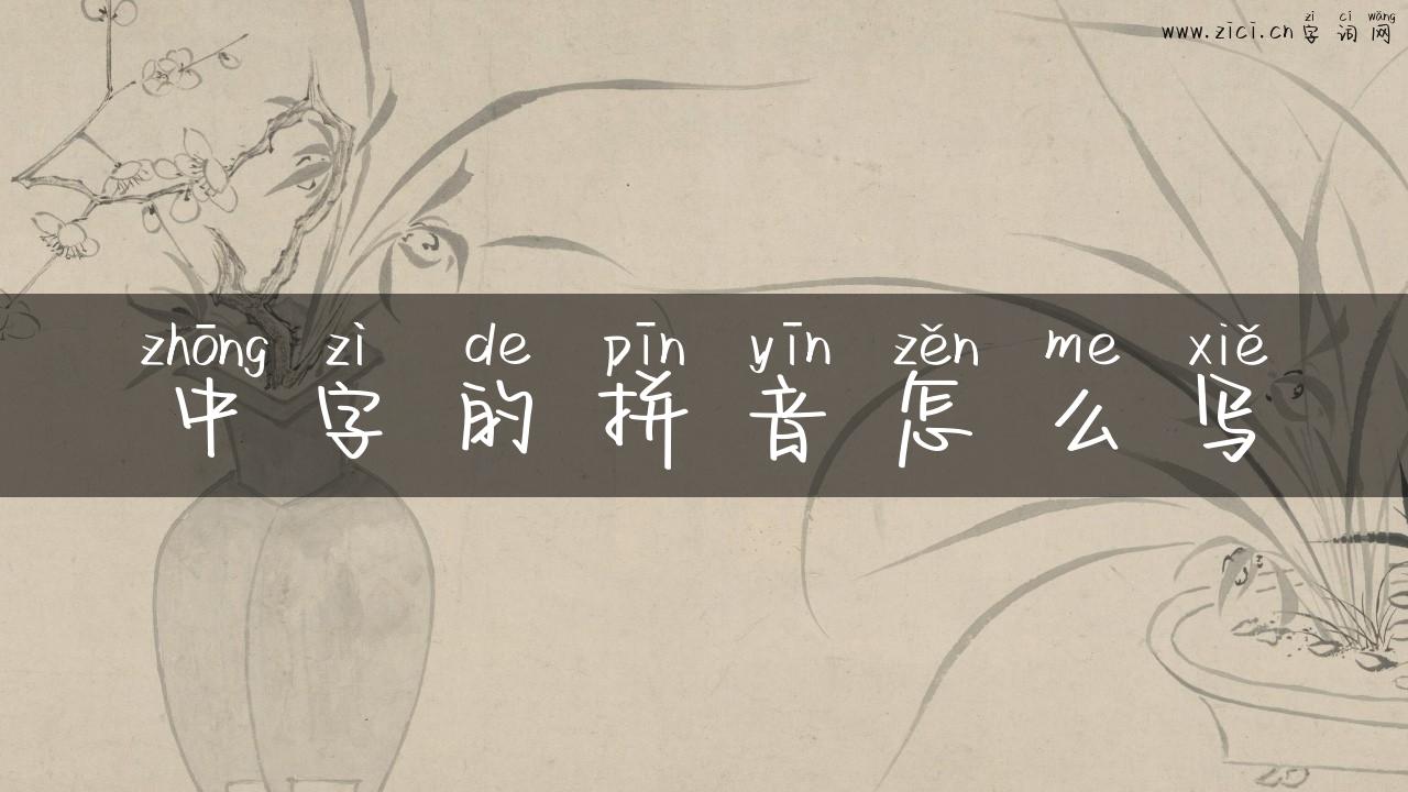 中字的拼音怎么写