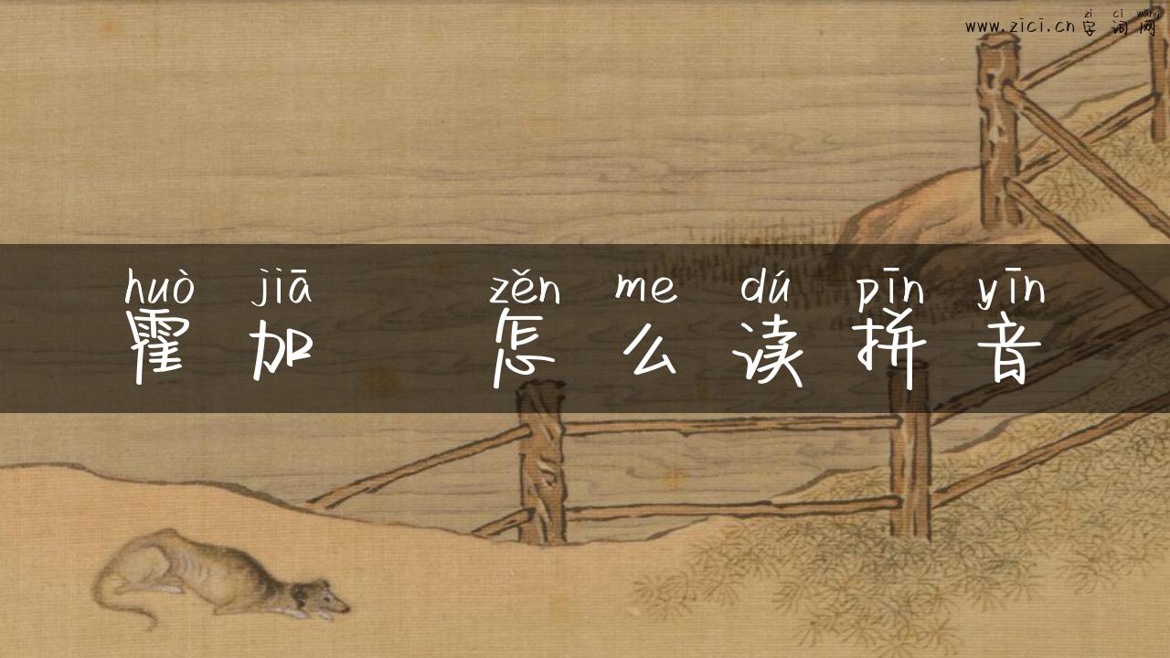 霍加狓怎么读拼音