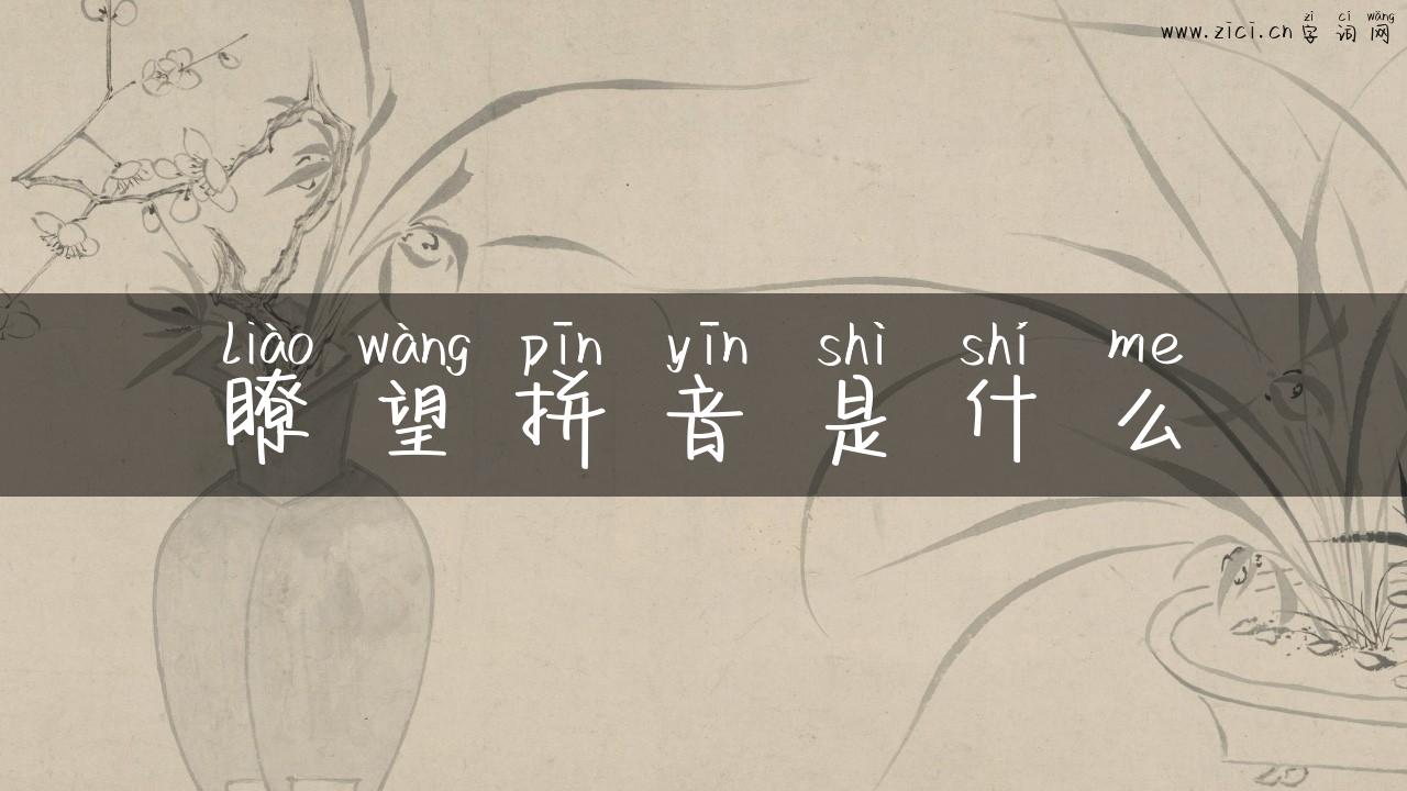 瞭望拼音是什么