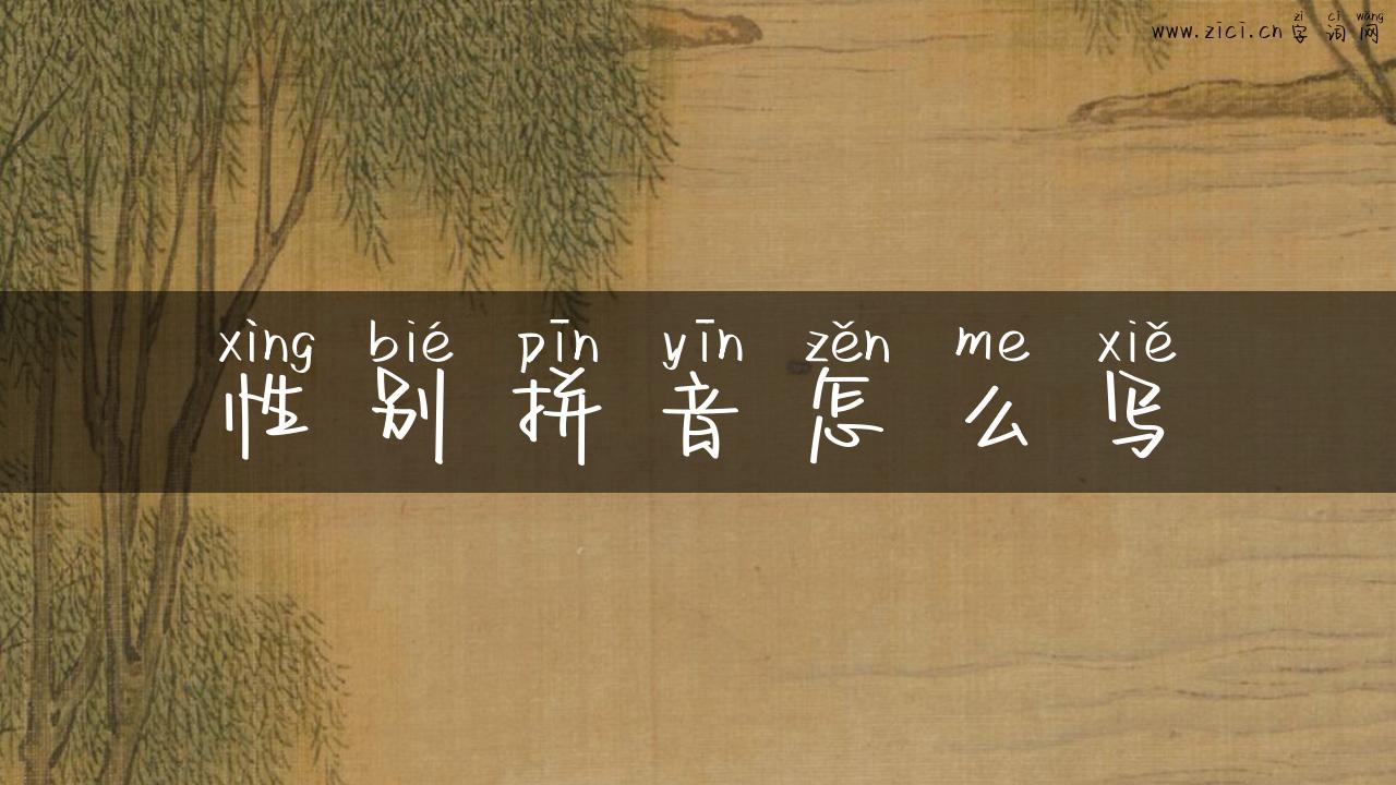 性别拼音怎么写