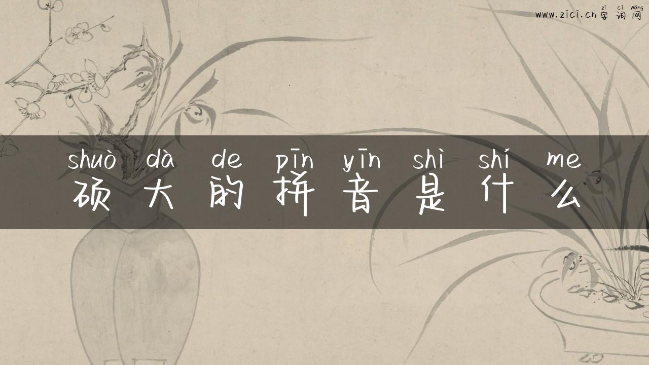 硕大的拼音是什么