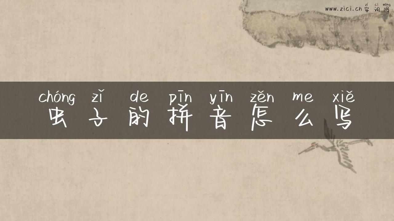 虫子的拼音怎么写