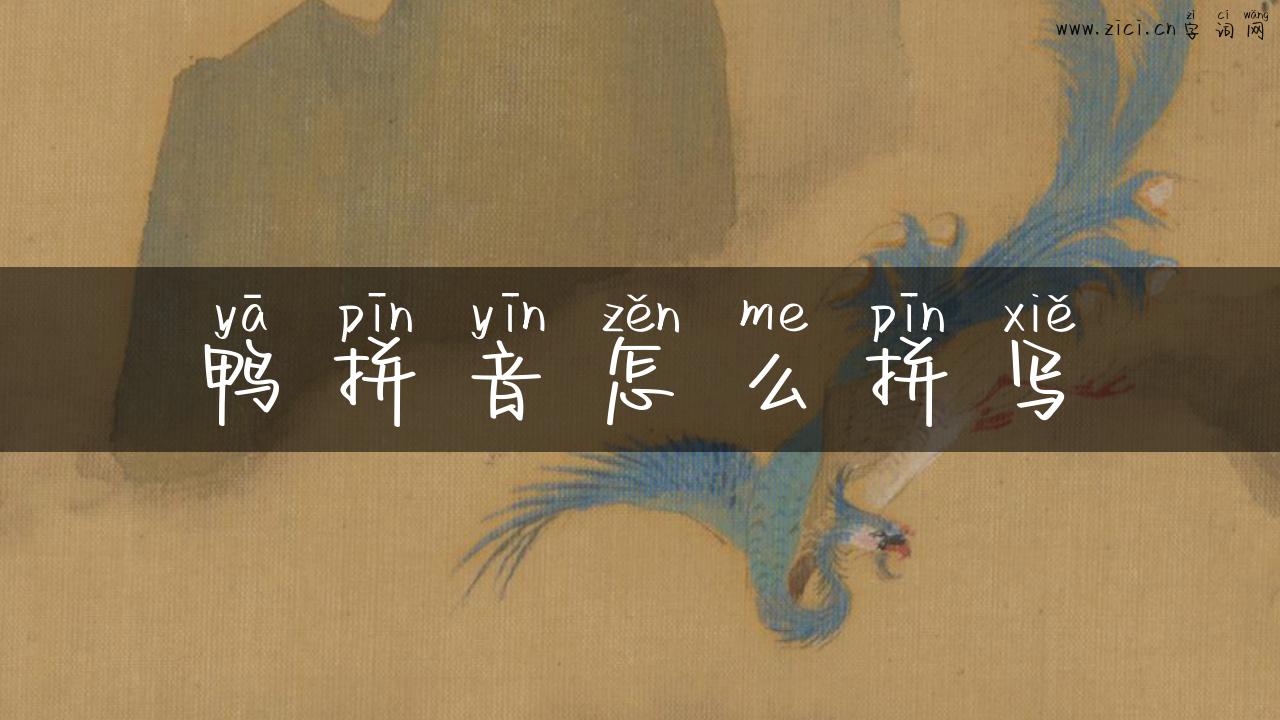 鸭拼音怎么拼写