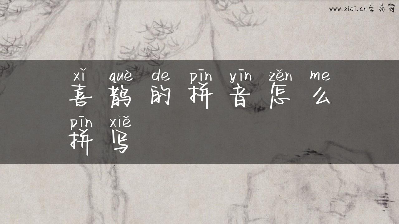 喜鹊的拼音怎么拼写
