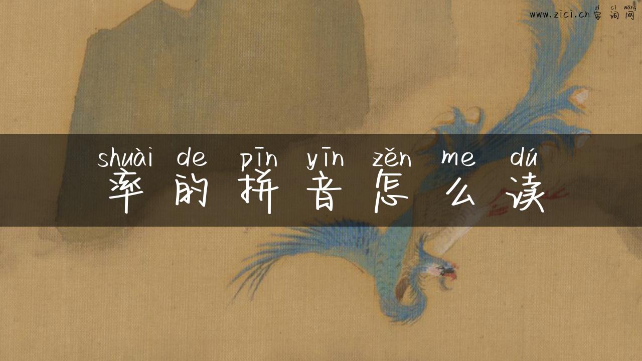 率的拼音怎么读