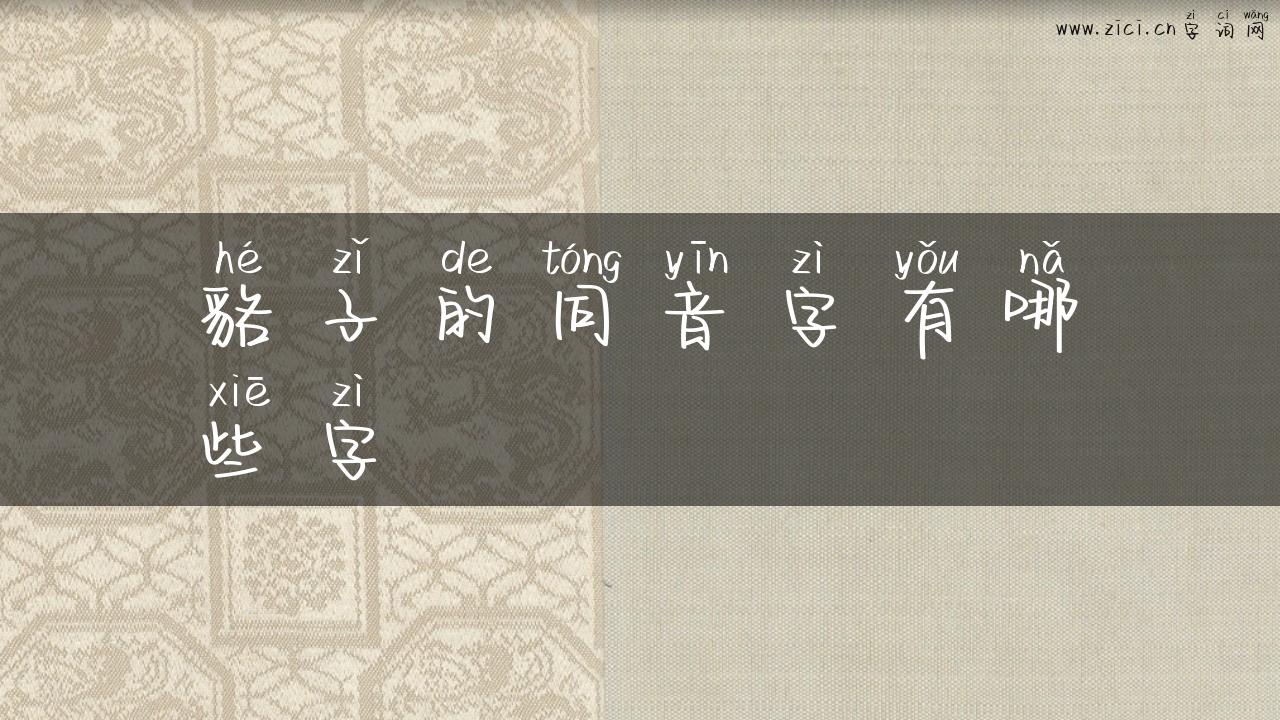 貉子的同音字有哪些字