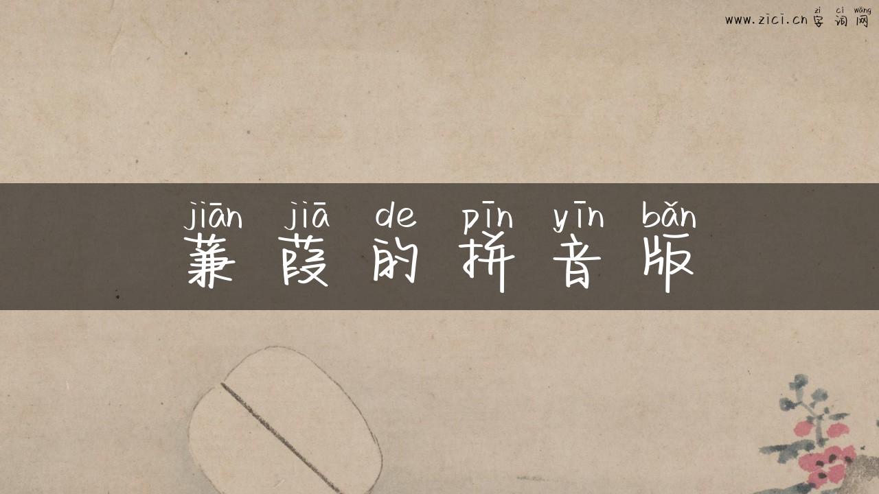 蒹葭的拼音版