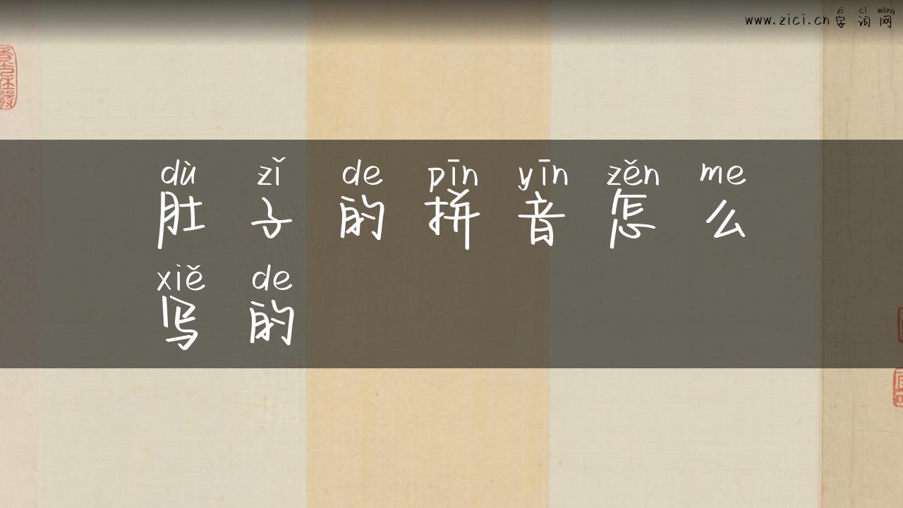 肚子的拼音怎么写的