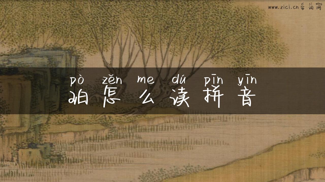 珀怎么读拼音