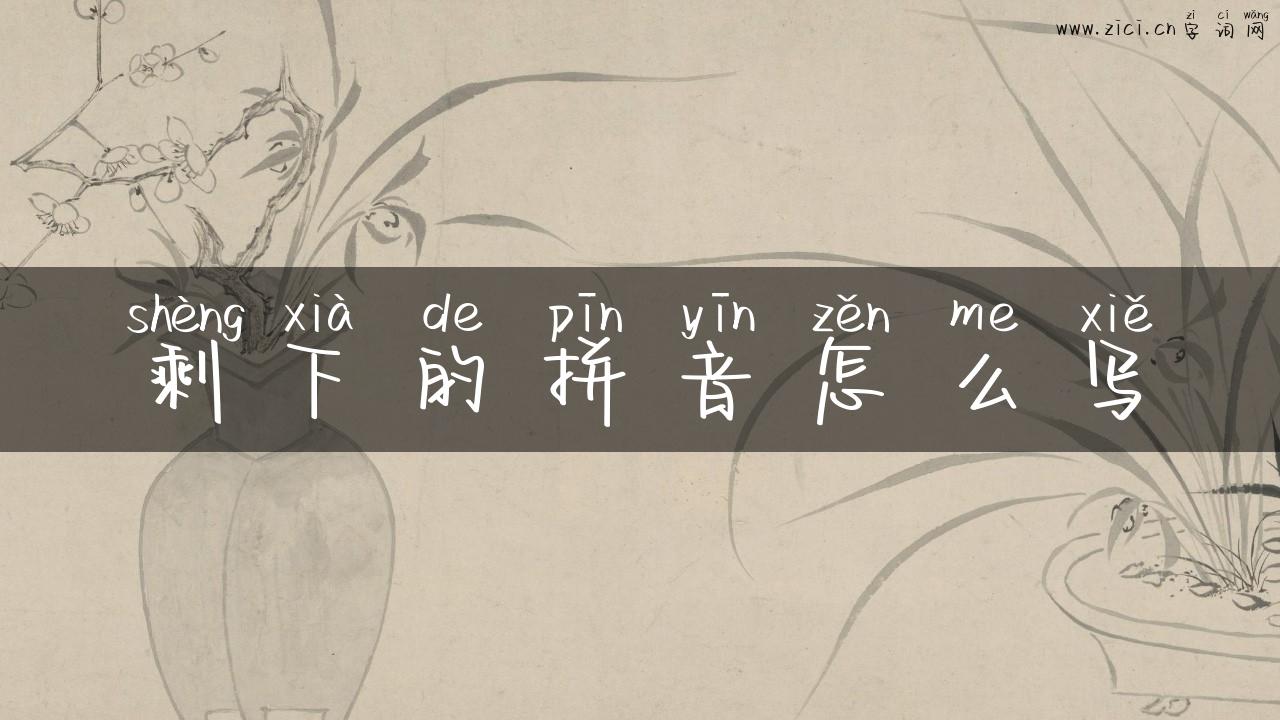 剩下的拼音怎么写