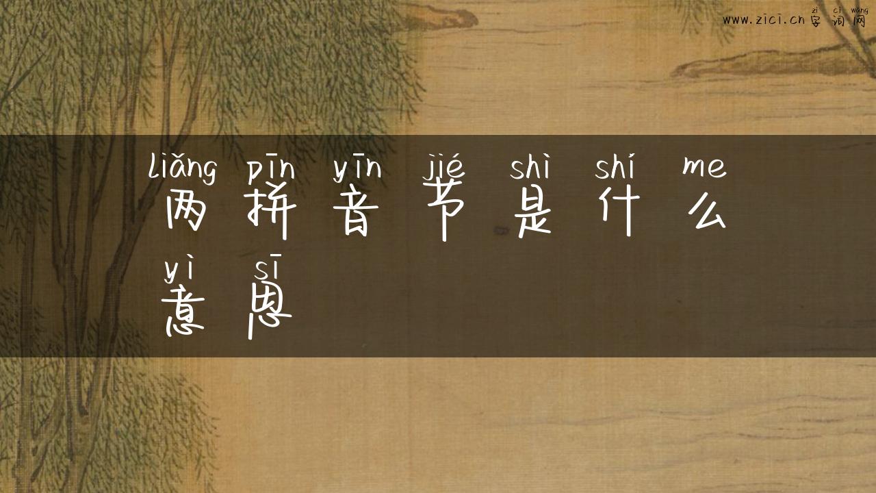 两拼音节是什么意思
