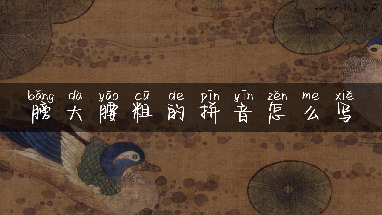 膀大腰粗的拼音怎么写