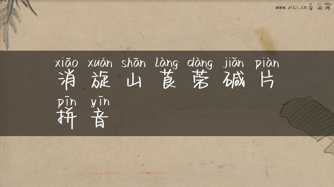 消旋山莨菪碱片拼音