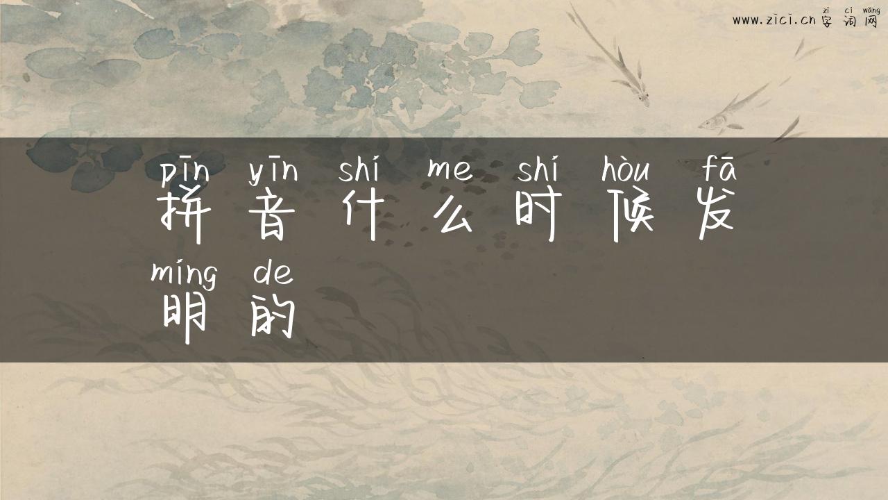 拼音什么时候发明的