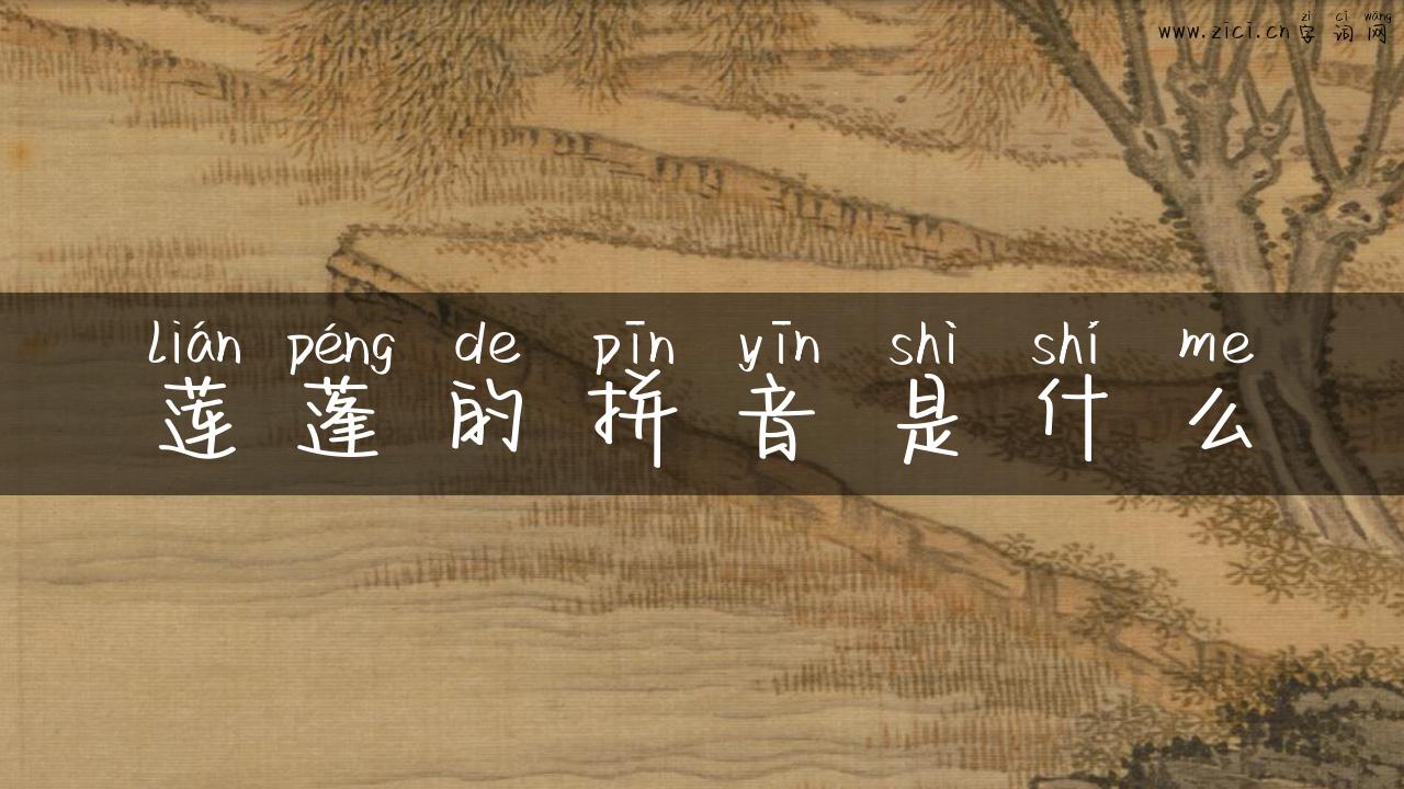 莲蓬的拼音是什么