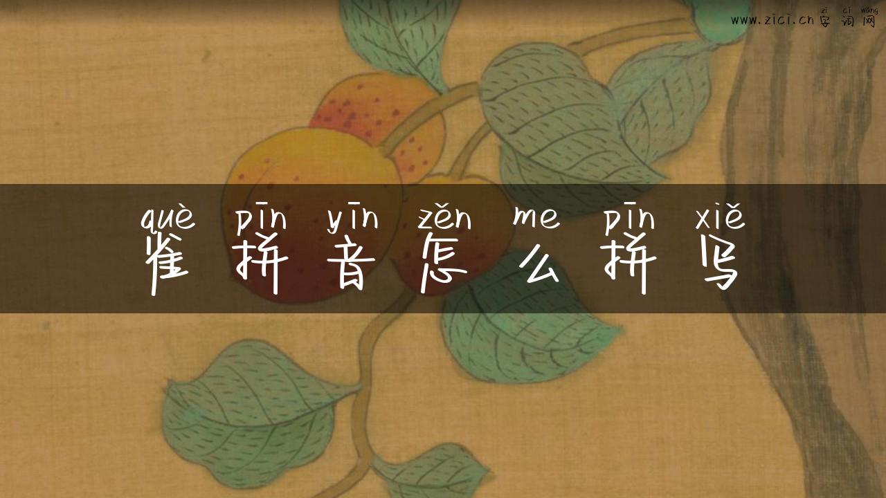 雀拼音怎么拼写