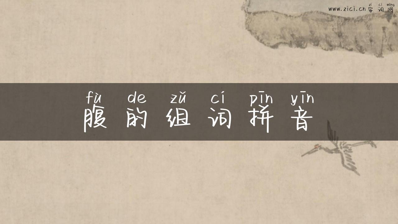 腹的组词拼音