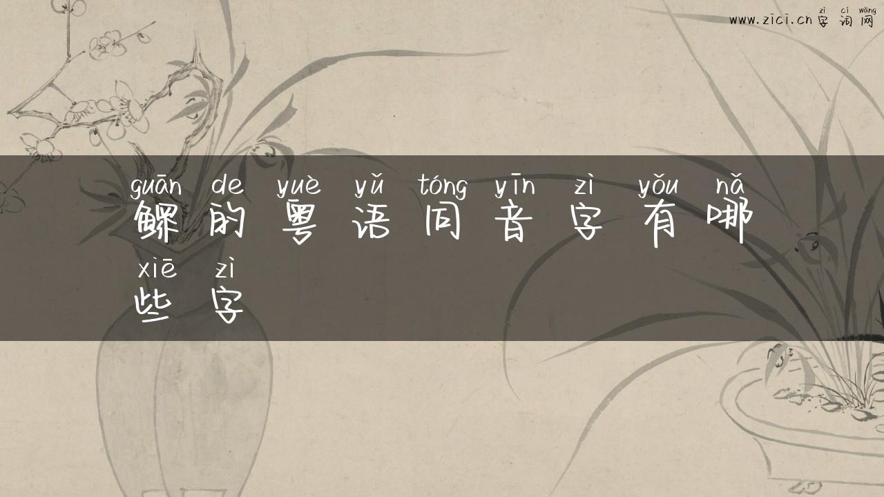 鳏的粤语同音字有哪些字