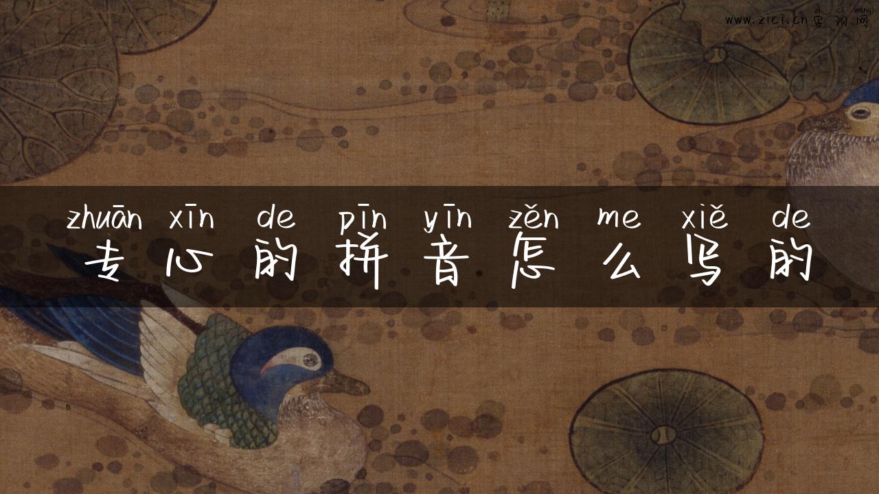 专心的拼音怎么写的