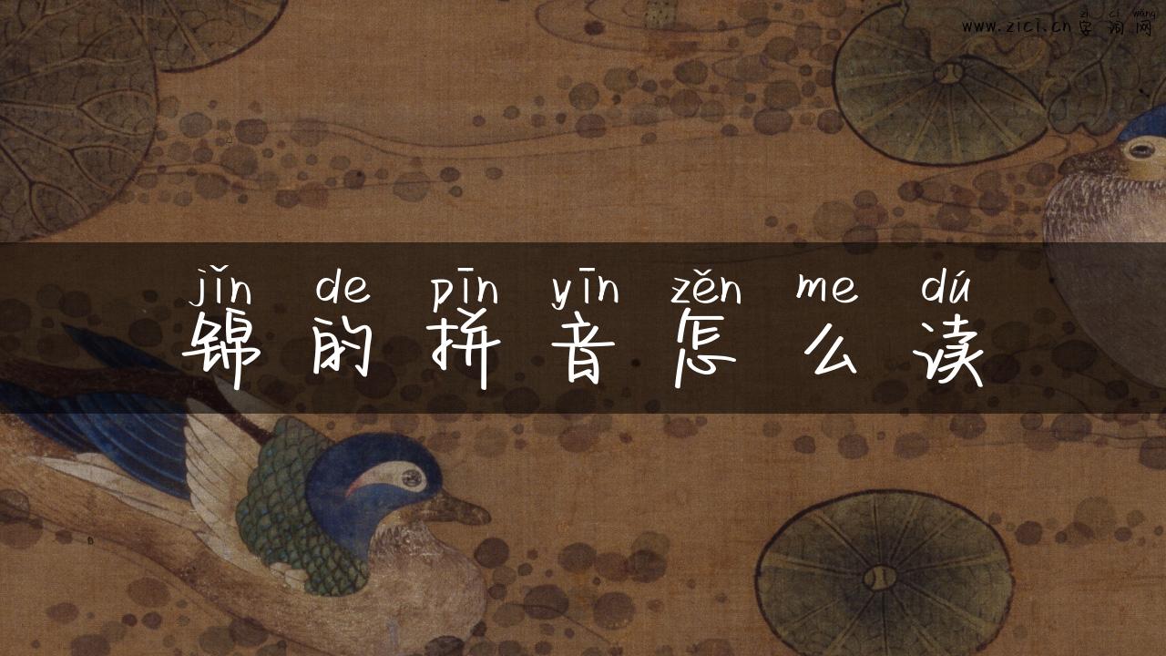 锦的拼音怎么读