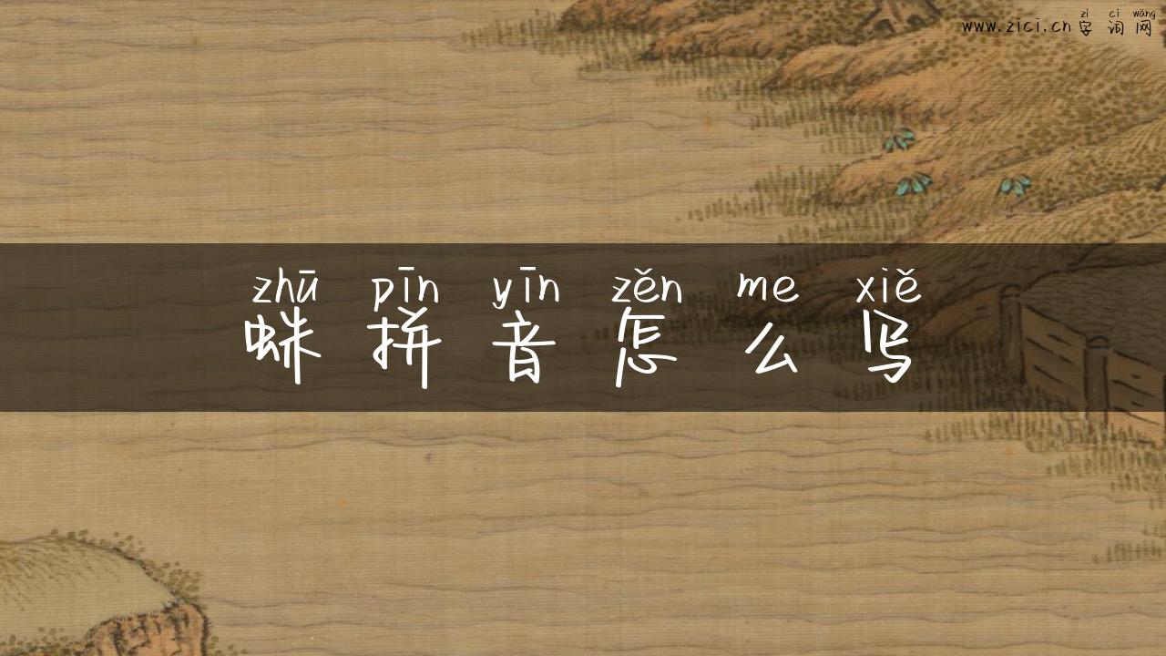 蛛拼音怎么写