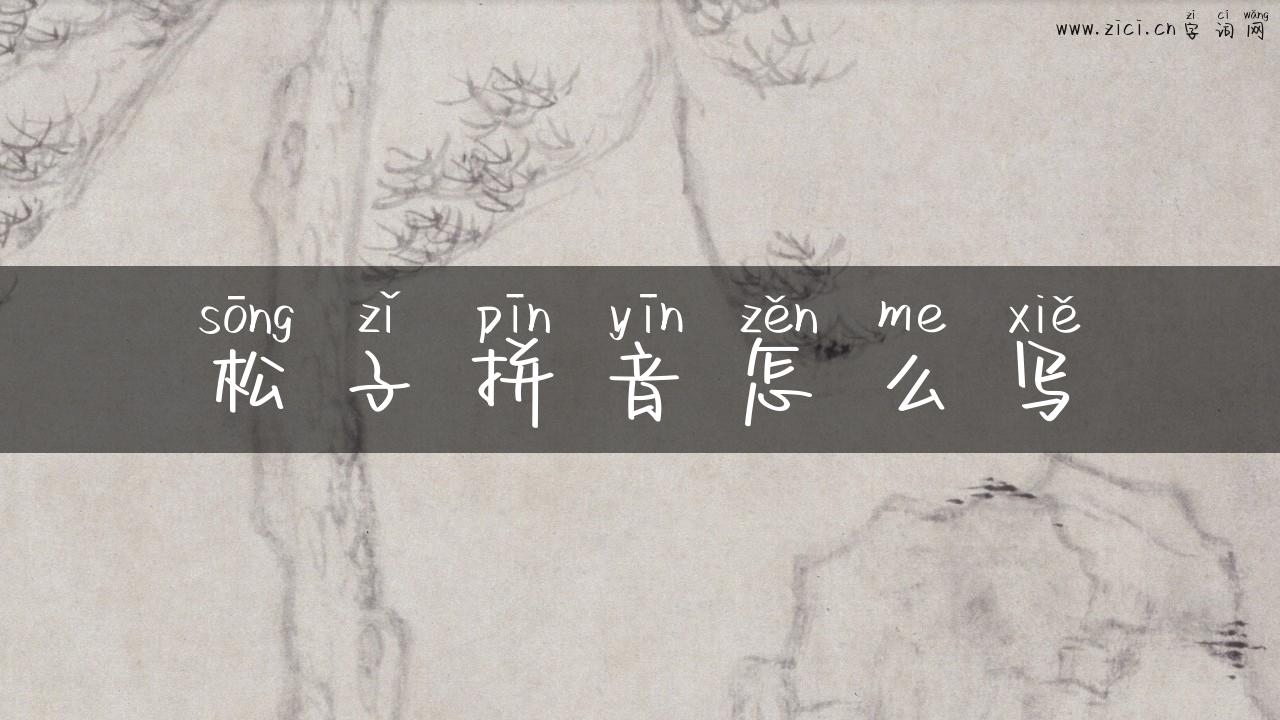 松子拼音怎么写