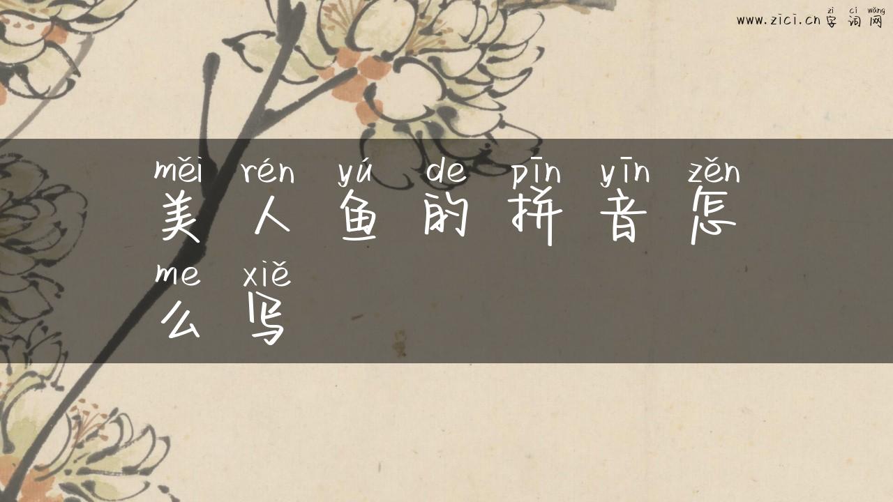 美人鱼的拼音怎么写