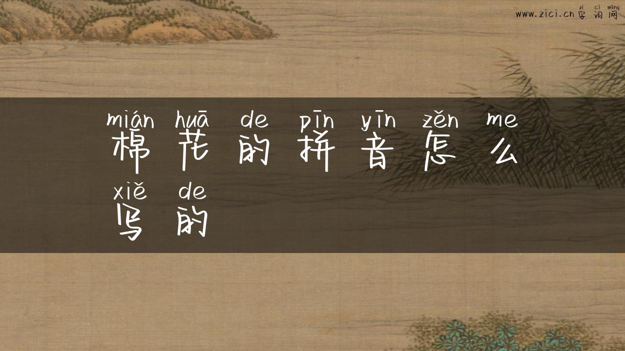 棉花的拼音怎么写的