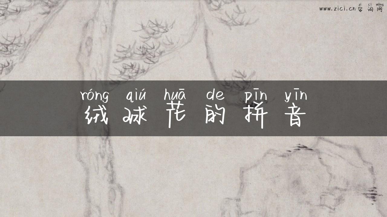 绒球花的拼音