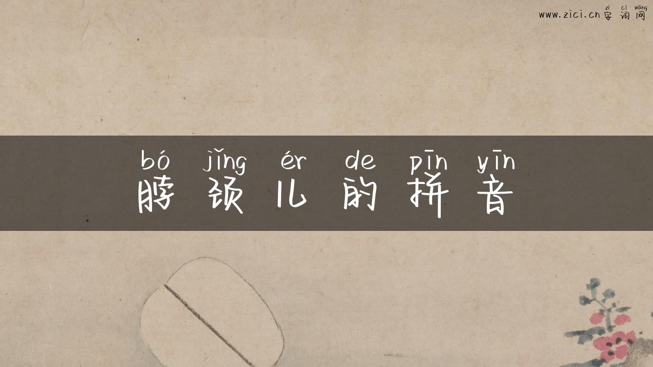 脖颈儿的拼音