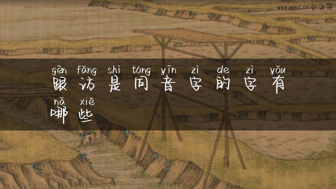 跟访是同音字的字有哪些