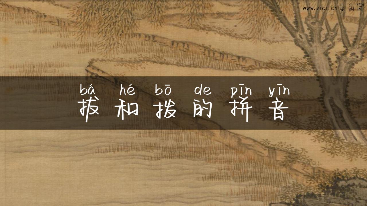拔和拨的拼音