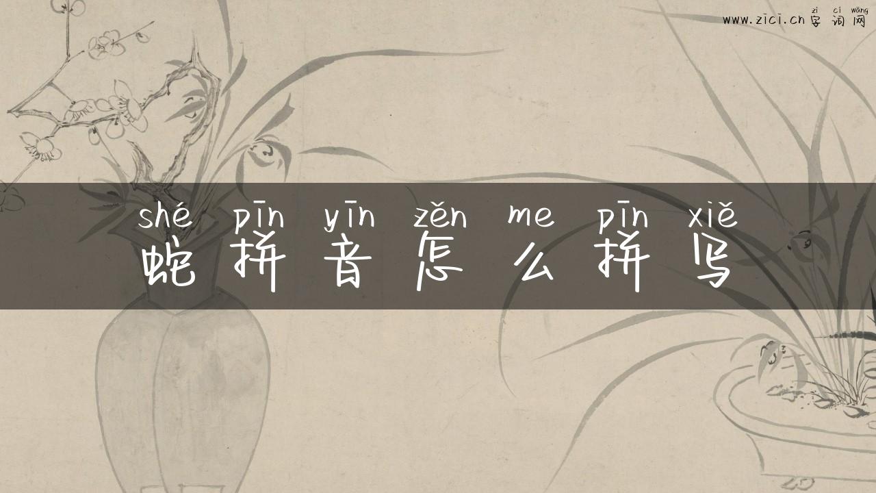 蛇拼音怎么拼写