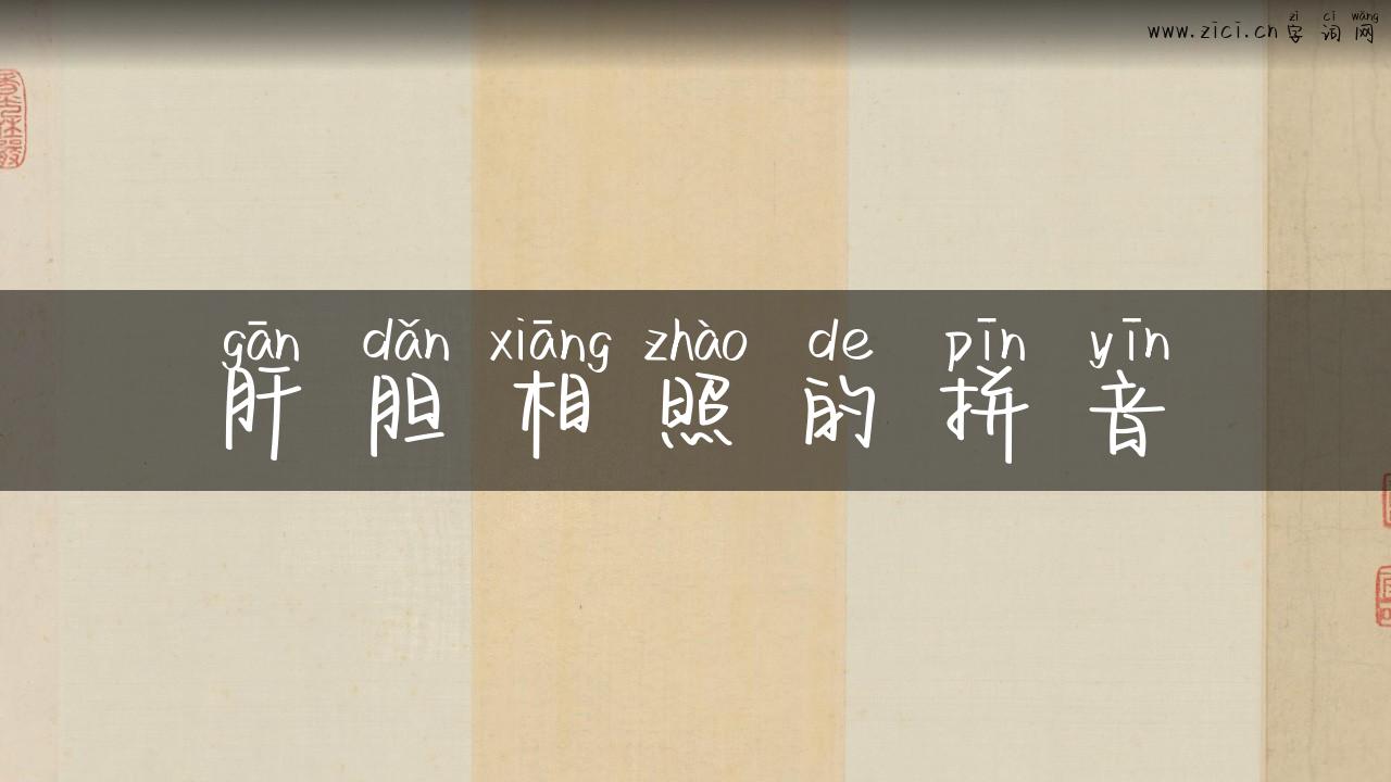 肝胆相照的拼音