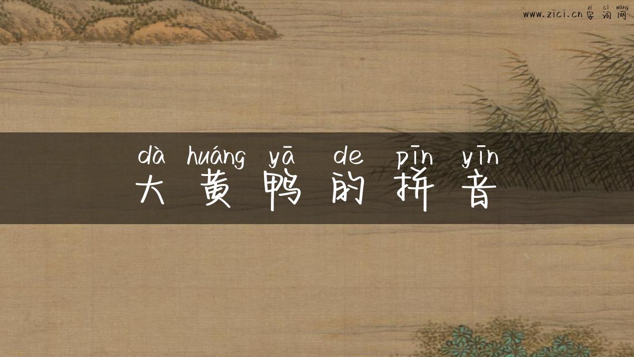 大黄鸭的拼音