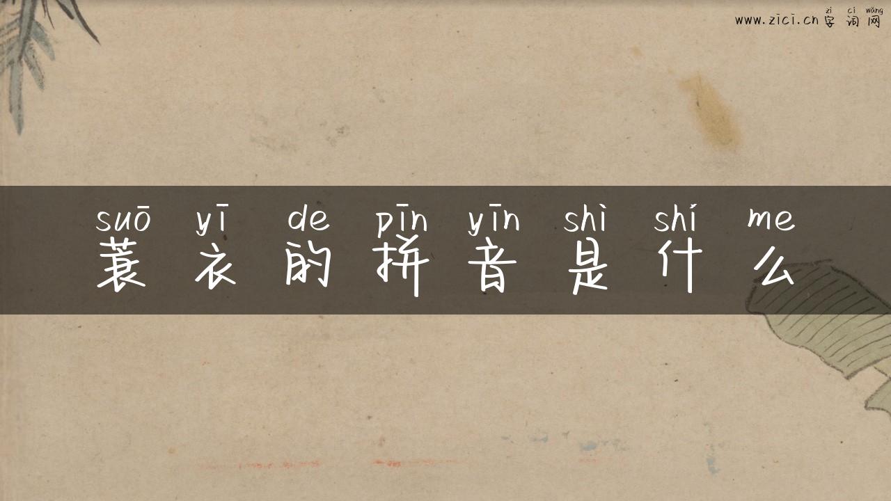 蓑衣的拼音是什么